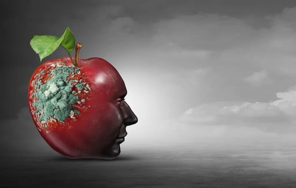 Brain Rot: Como o Consumo Excessivo de Conteúdos Rápidos Está Afetando o Cérebro dos Universitários