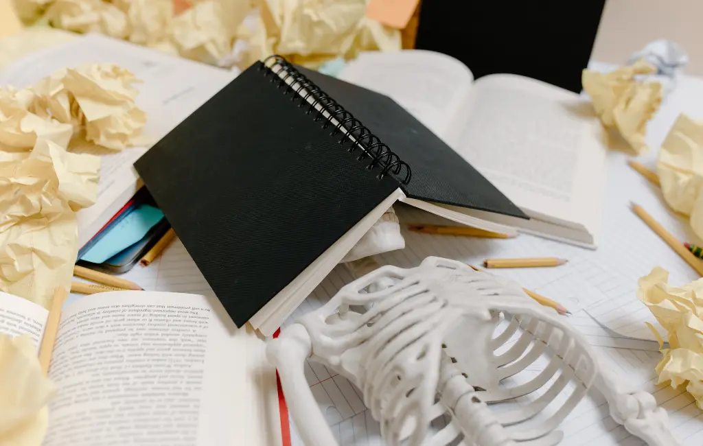 Redes Sociais e Estudo Universitário: 4 Dicas para Proteger seu Rendimento sem Deixar de se Conectar Blog do Universitário Vencedor