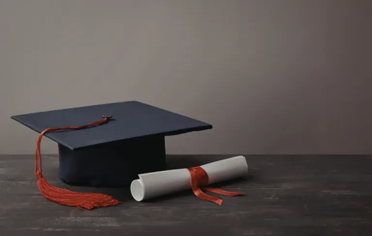 Carreira na Faculdade: Como Construir Valor Profissional Antes do Diploma - Blog do Universitário Vencedor